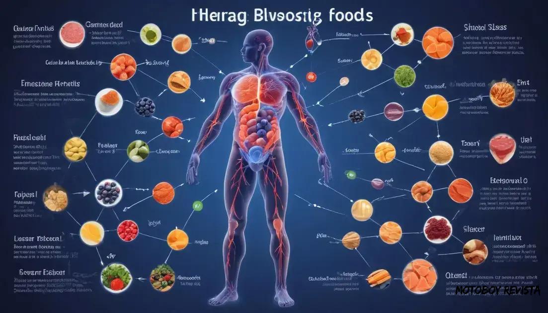Alimentos energéticos e seus efeitos no corpo Alimentos energéticos e seus efeitos no corpo