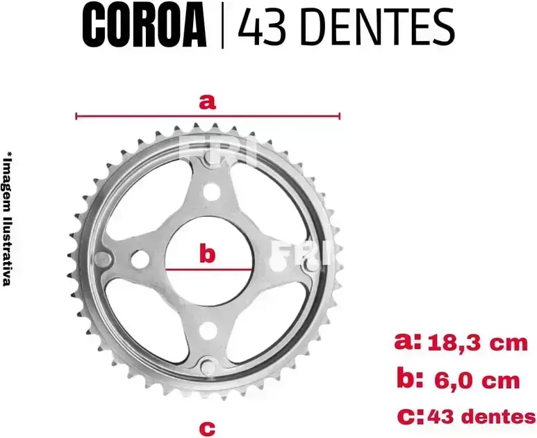 Coroa com fundo branco, destacando suas características. Coroa com fundo branco, destacando suas características.
