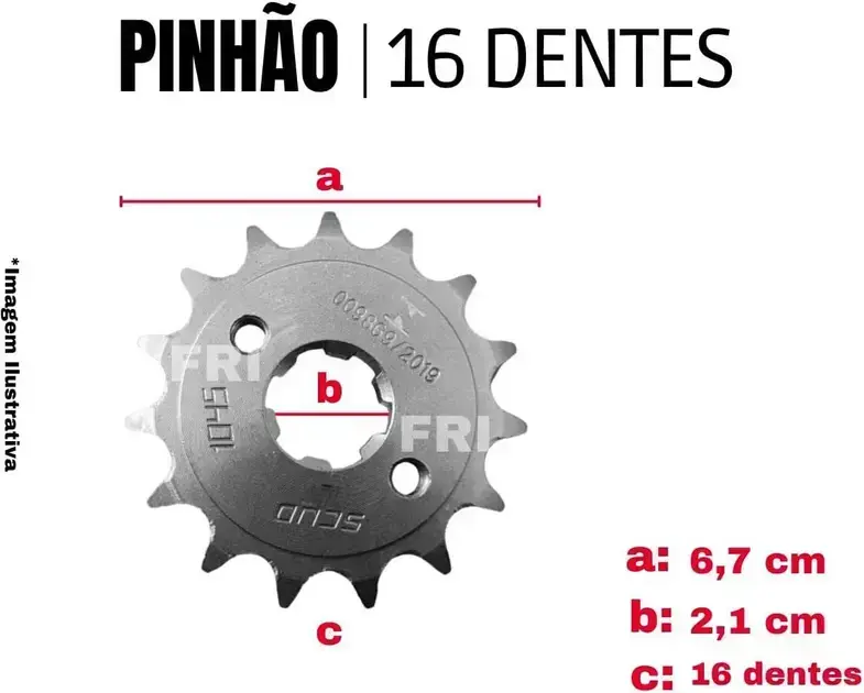 Pinhão com fundo branco, com informações em texto dispostas ao redor. Pinhão com fundo branco, com informações em texto dispostas ao redor.