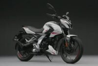 Pulsar 150 da Bajaj: nova moto acessível, moderna e segura