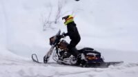 Harley-Davidson vira snow bike e surpreende nas trilhas de montanha