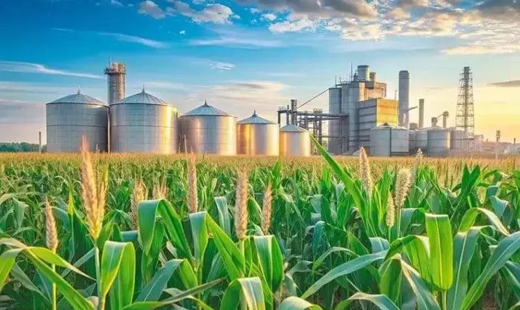 Balsas: O Novo Gigante do Agronegócio Brasileiro Balsas: O Novo Gigante do Agronegócio Brasileiro