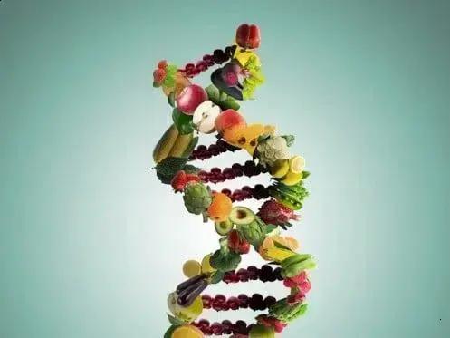 DNA e Nutrição: A Ciência Revela Conexões