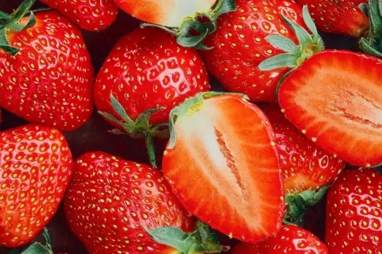 Morango do Egito: Importação Aumenta 1400% e Preocupa Produtores
