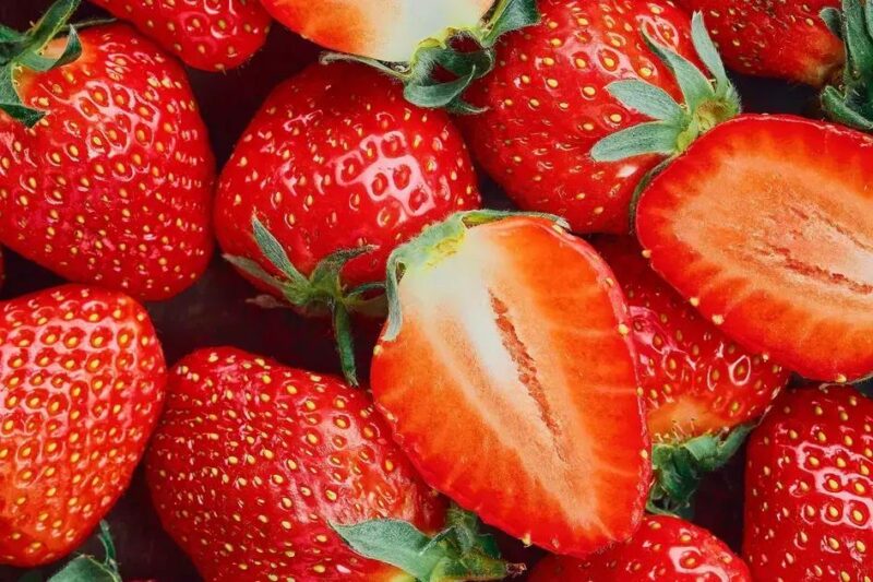 Morango do Egito: Importação Aumenta 1400% e Preocupa Produtores Morango do Egito: Importação Aumenta 1400% e Preocupa Produtores